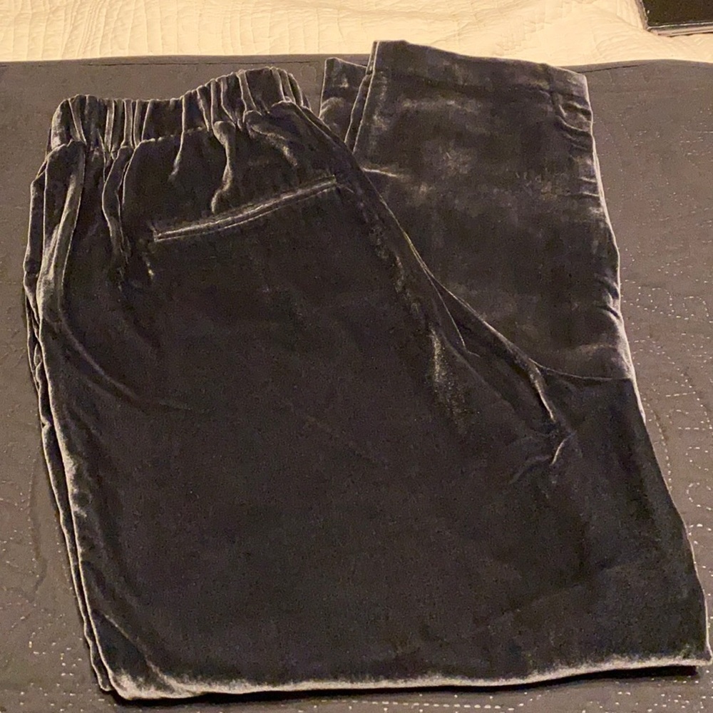 NWT Ann Taylor velvet pants
